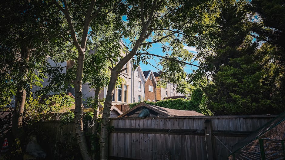 An exterior view of a residential property during the home relocation process, with a focus on the loading area. The image shows a view from a backyard or side garden, featuring a weathered wooden fence and a paved area. Several cardboard boxes and large pieces of furniture, covered in protective blankets and plastic wrapping, are arranged on the pavement, ready for transportation. A wheeled trolley is positioned nearby, assisting with the manual handling of the items. Tall trees with green leaves partially obscure the view of neighboring houses visible further back, which are multi-storey, modern brick and stone constructions, set against a bright blue sky. The scene suggests an active furniture transport or packing and moving operation, as provided by [COMPANY_NAME], during the process of moving from the SE11 house on Kennington Park to the Oval area, part of a professional removals service that manages loading and transport logistics.