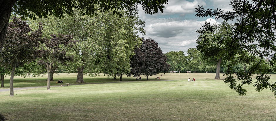 A spacious park area with a well-maintained grassy lawn, dotted with a variety of mature trees, including some with dark purple leaves and others with green foliage. The sky above is partly cloudy, casting soft shadows across the open space. In the background, a few people are seated on benches and on the grass, indicating a public setting suitable for relaxation or outdoor activities. The scene is viewed from beneath a leafy tree branch, framing the image with natural greenery. Although the image does not depict any furniture, boxes, or moving equipment, it captures the serene environment typical of a location where home relocation or furniture transport might occur, such as a residential street nearby or a park used for staging during a move. For professional removals, this peaceful outdoor space could serve as a loading or unloading point for transport vehicles, including vans, in a quiet neighbourhood like Kennington or Oval, as referenced in the page title from Man and a Van Kennington.